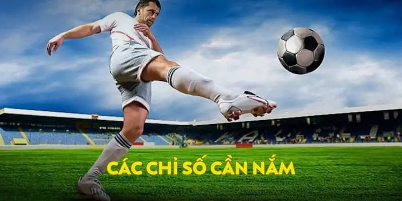 Các chỉ số cần nắm