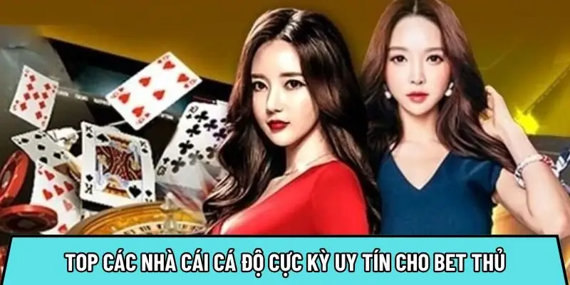 Top các nhà cái cá độ cực kỳ uy tín cho bet thủ