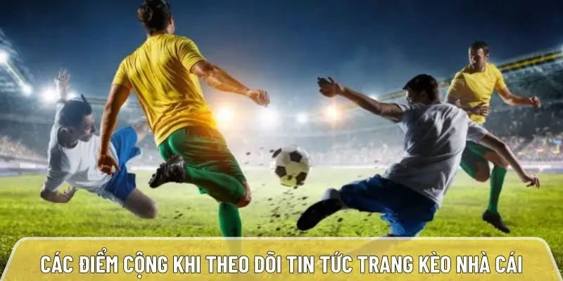 Các điểm cộng khi theo dõi tin tức trang kèo nhà cái