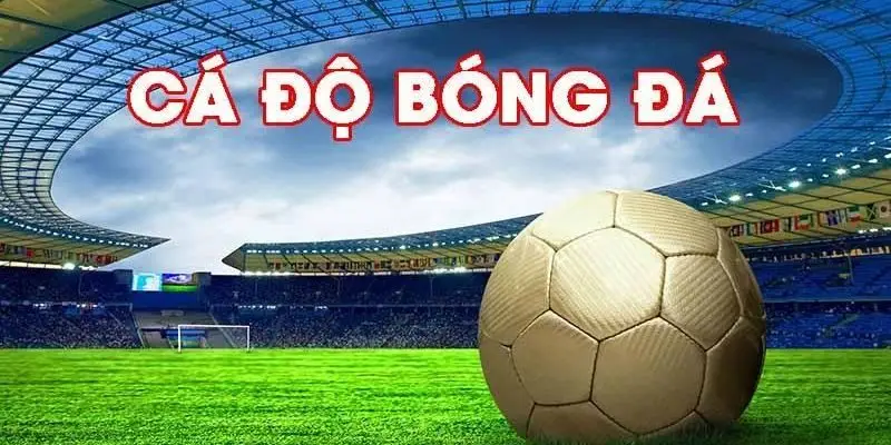 Các kèo cược bóng đá cực đỉnh tại trang kèo cá độ bóng đá